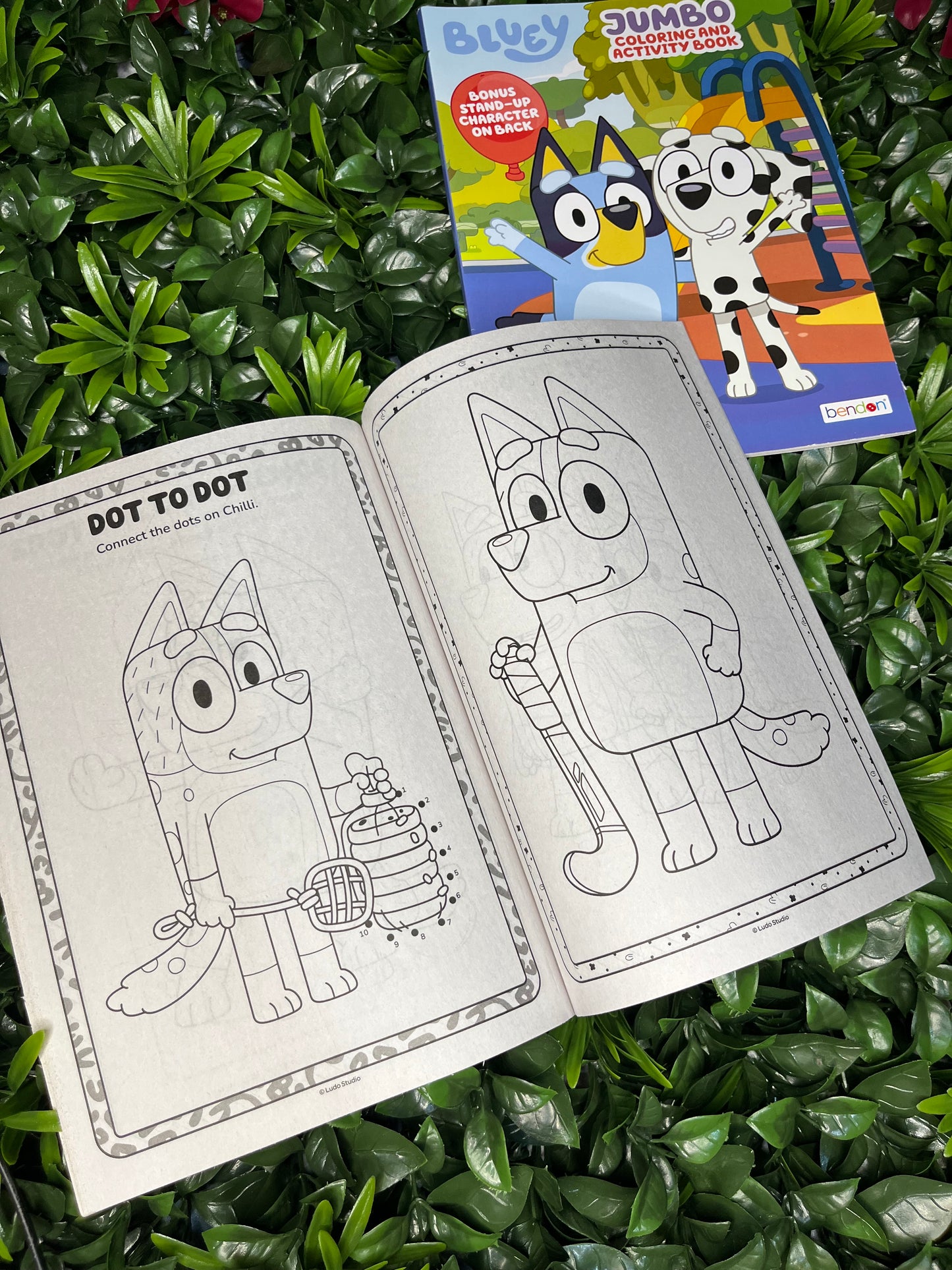 Bluey Colouring & Activity Book
