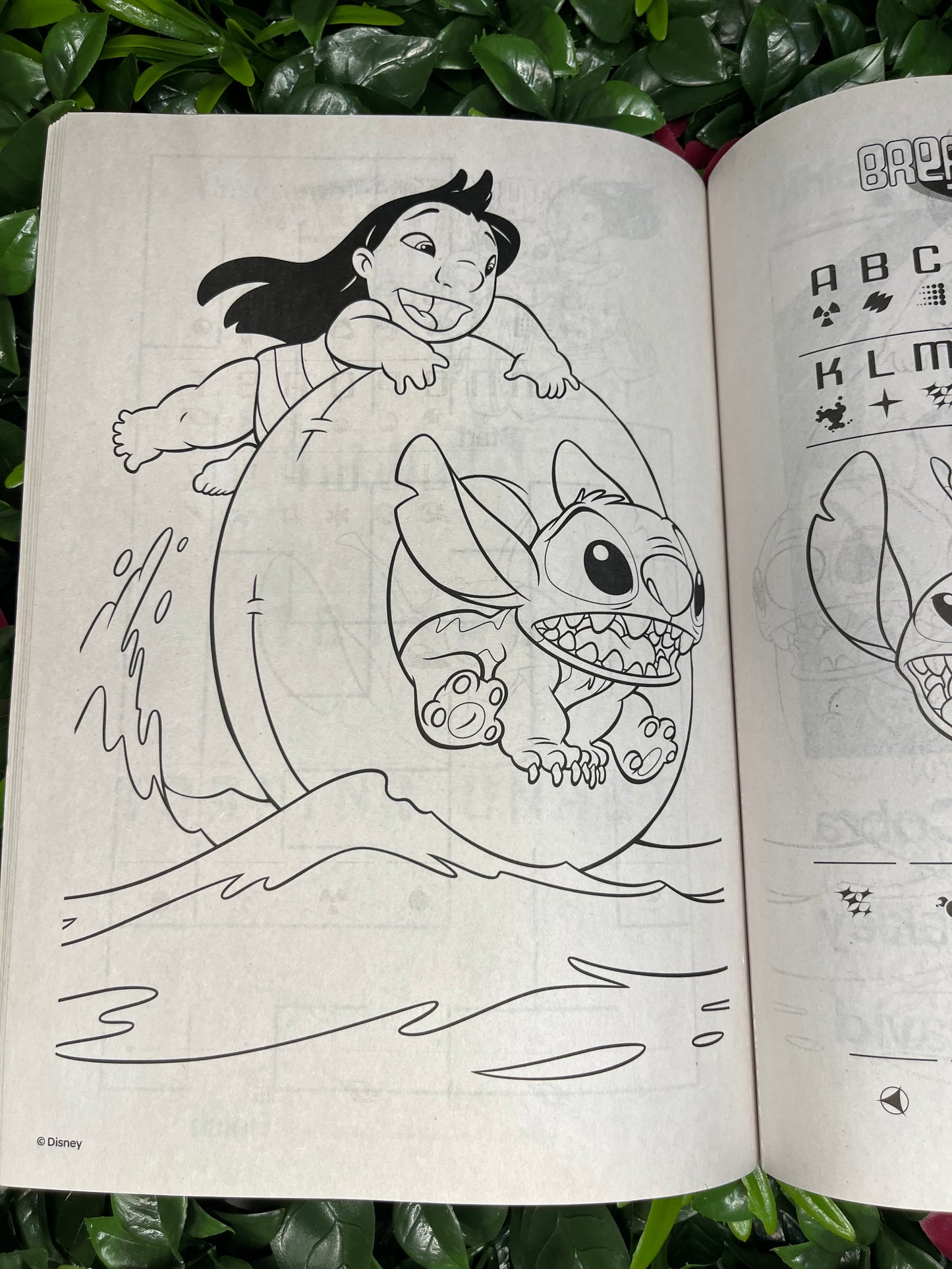 Stitch Colouring Book